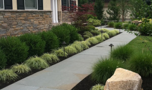 Bluestone Walkway by Cording Landscape Design