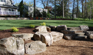 Rock Garden