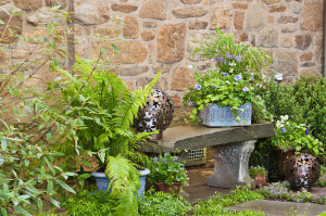 Container Garden