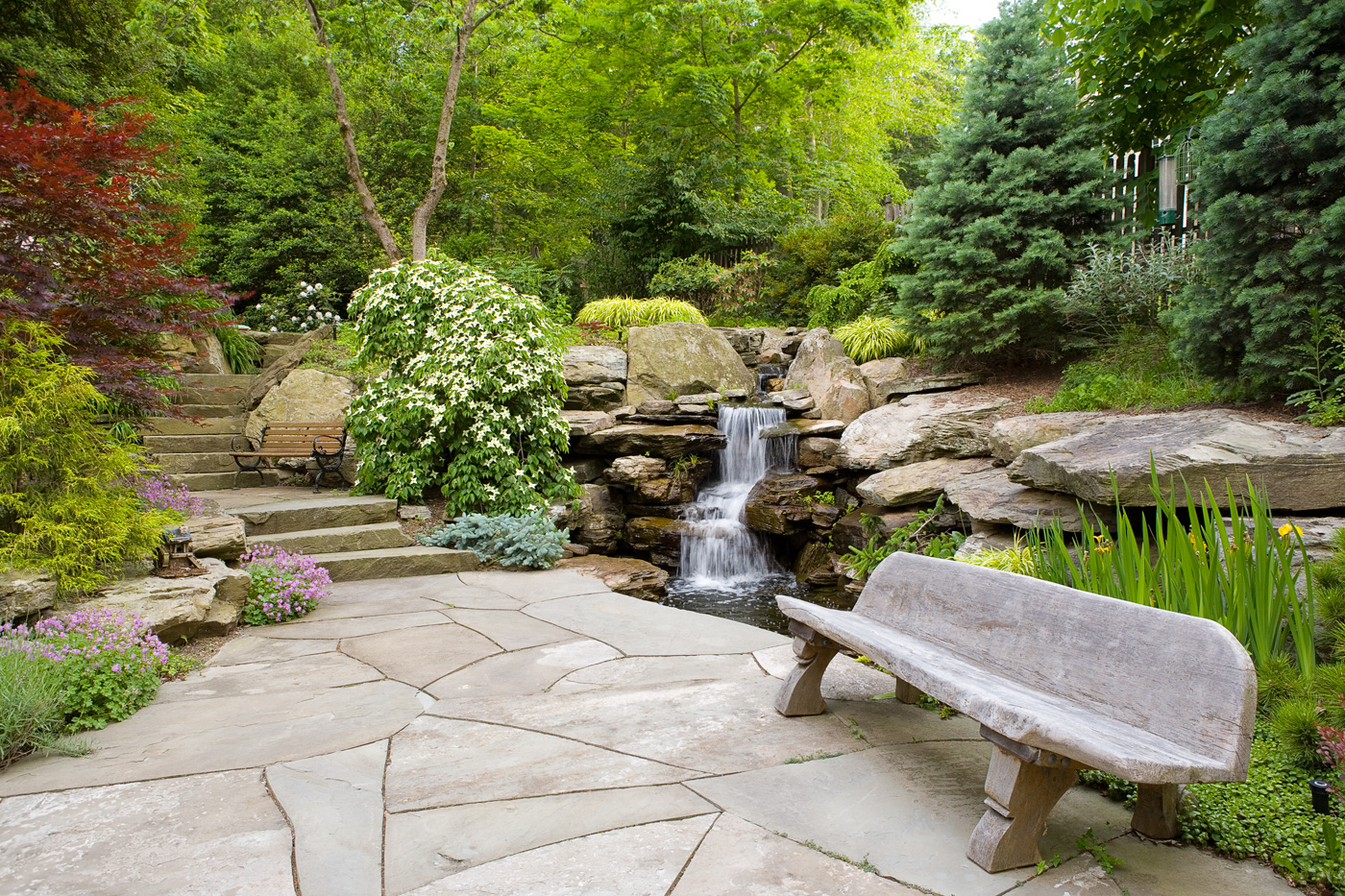 Pond Landscaping in New Jersey by Cording Landscape Design