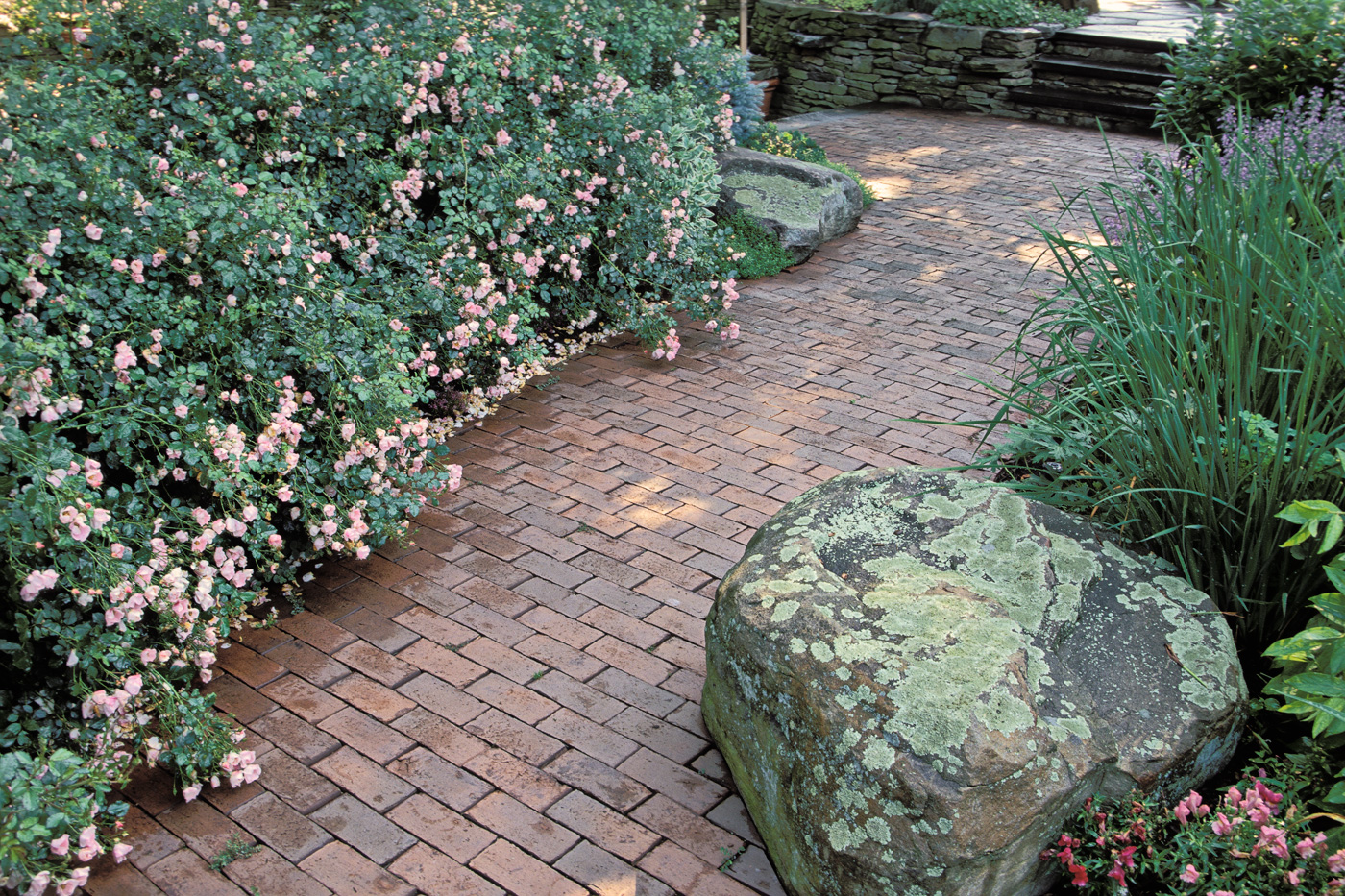 Brick Walkway by Cording Landscape Design