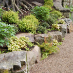 Rock Garden by Cording Landscape Design