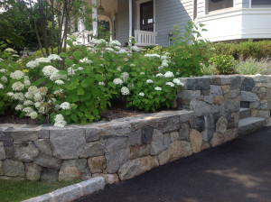 Natural Stone Retaining Wall by Cording Landscape Design