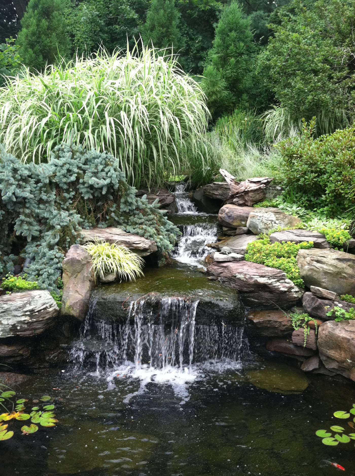 Waterfall by Cording Landscape Design