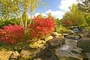 Landscaping NJ - New Jersey Gardens - Cording Landscape Design