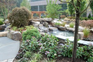 Cording Landscape Design - Wyndham Worldwide