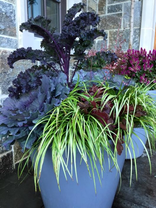 Cording Landscape Design - Container Gardens for Fall
