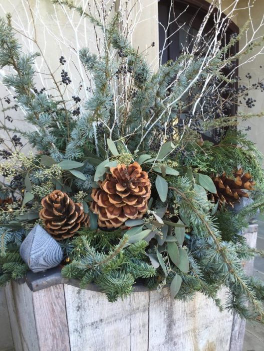 Cording Landscape Design - Container Gardens for the Holidays