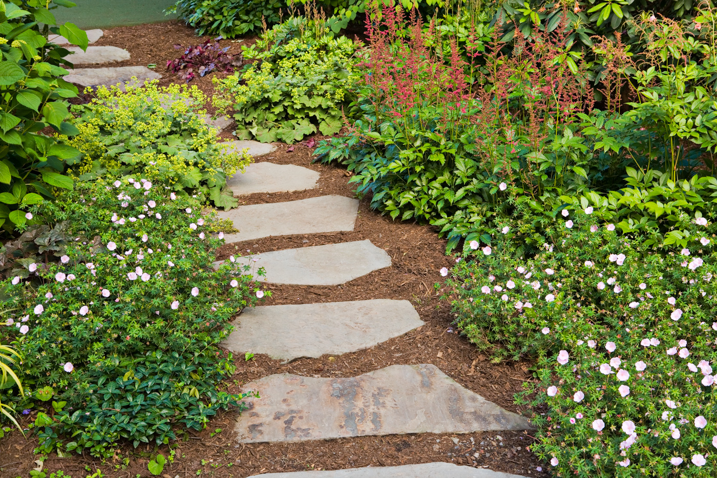 Garden Path by Cording Landscape Design
