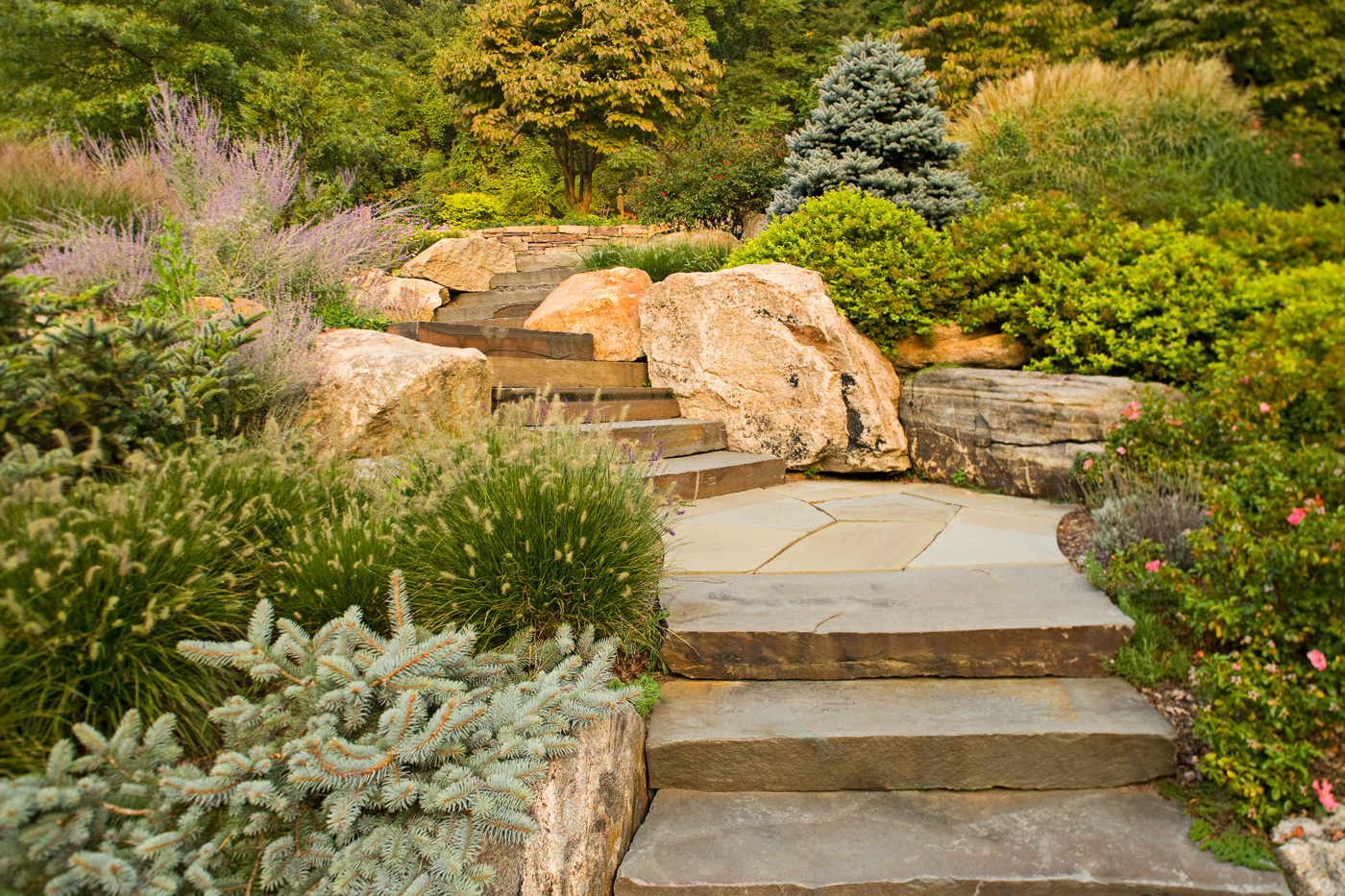 Landscaping in Bridgewater New Jersey by Cording Landscape Design