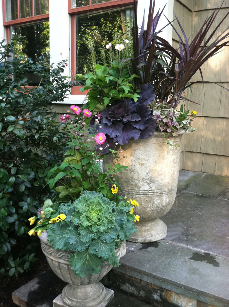 Container Gardens - Cording Landscape - New Jersey